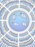 Digital Downloads - Turtle Family
